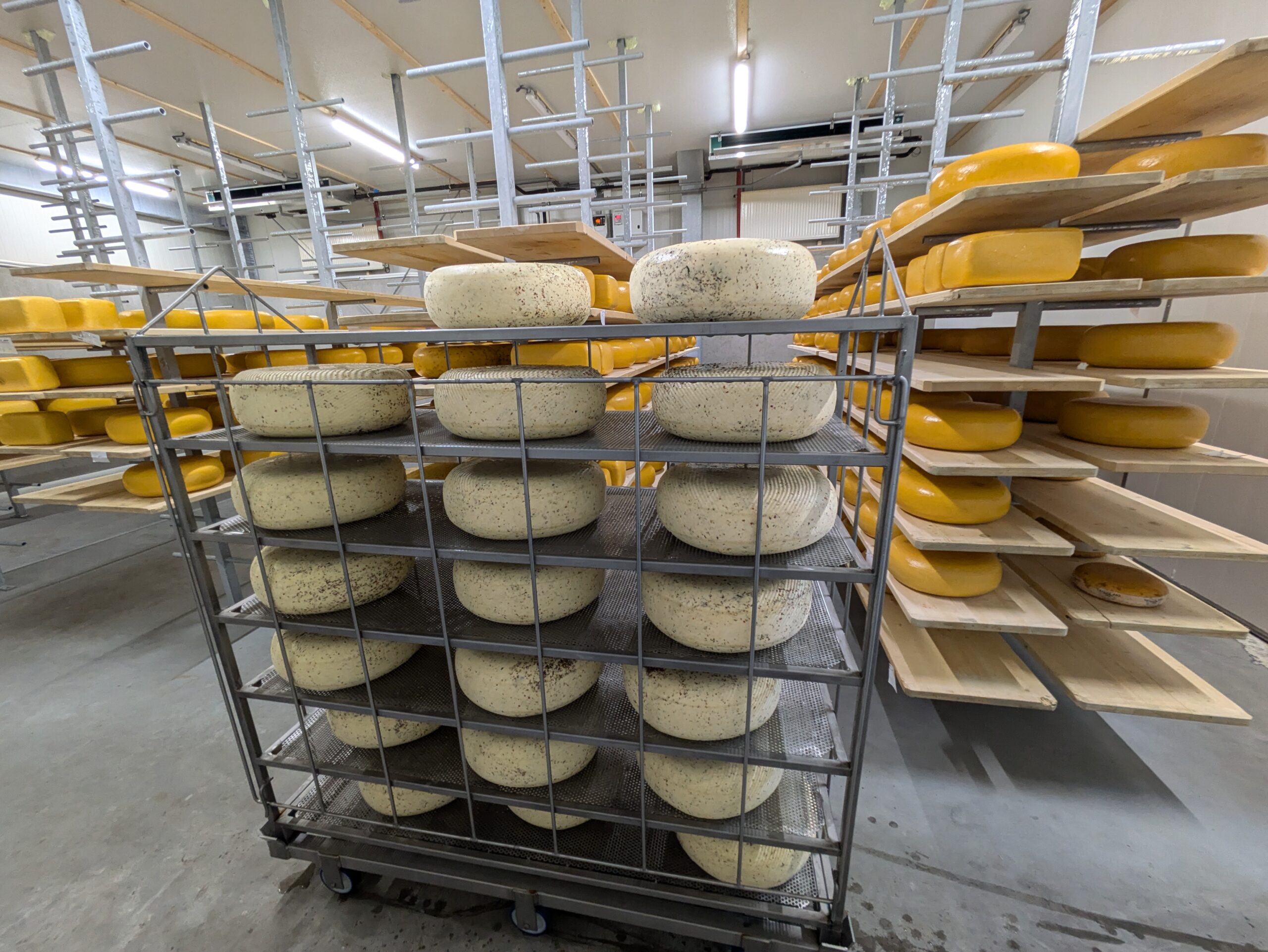 PXL_20251001_140548592